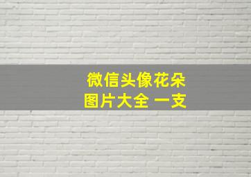 微信头像花朵图片大全 一支